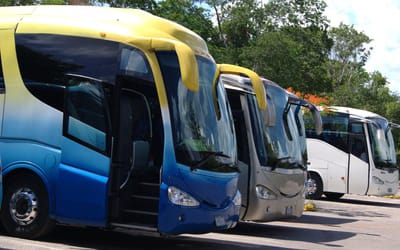 bus pour Transferts & Navettes